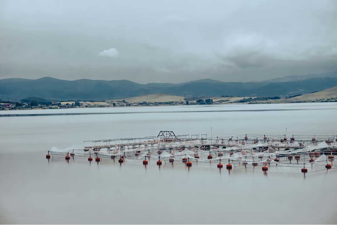 Photo of a man fishing
