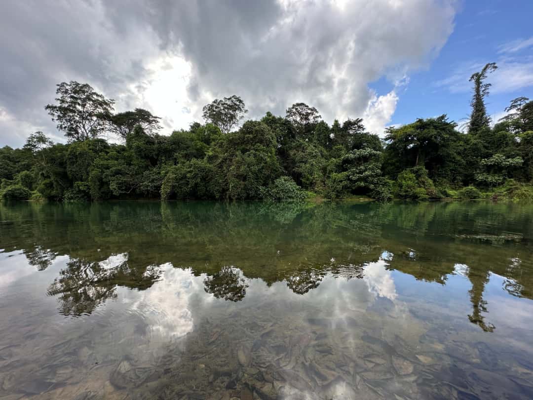 Photo of a man fishing
