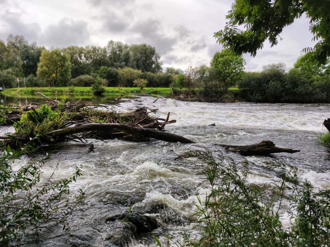 Photo of a man fishing