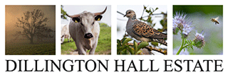 Dillington Hall Estate
